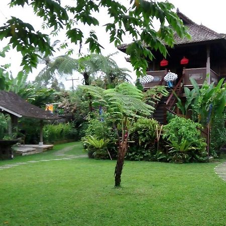 Bali Mountain Retreat Villa Selemadeg  Bagian luar foto