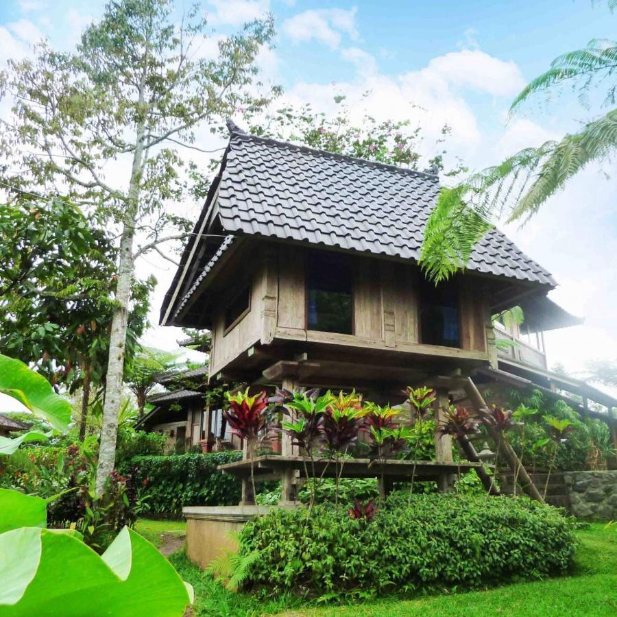 Bali Mountain Retreat Villa Selemadeg  Bagian luar foto