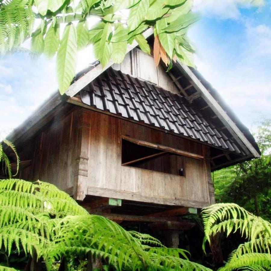 Bali Mountain Retreat Villa Selemadeg  Bagian luar foto