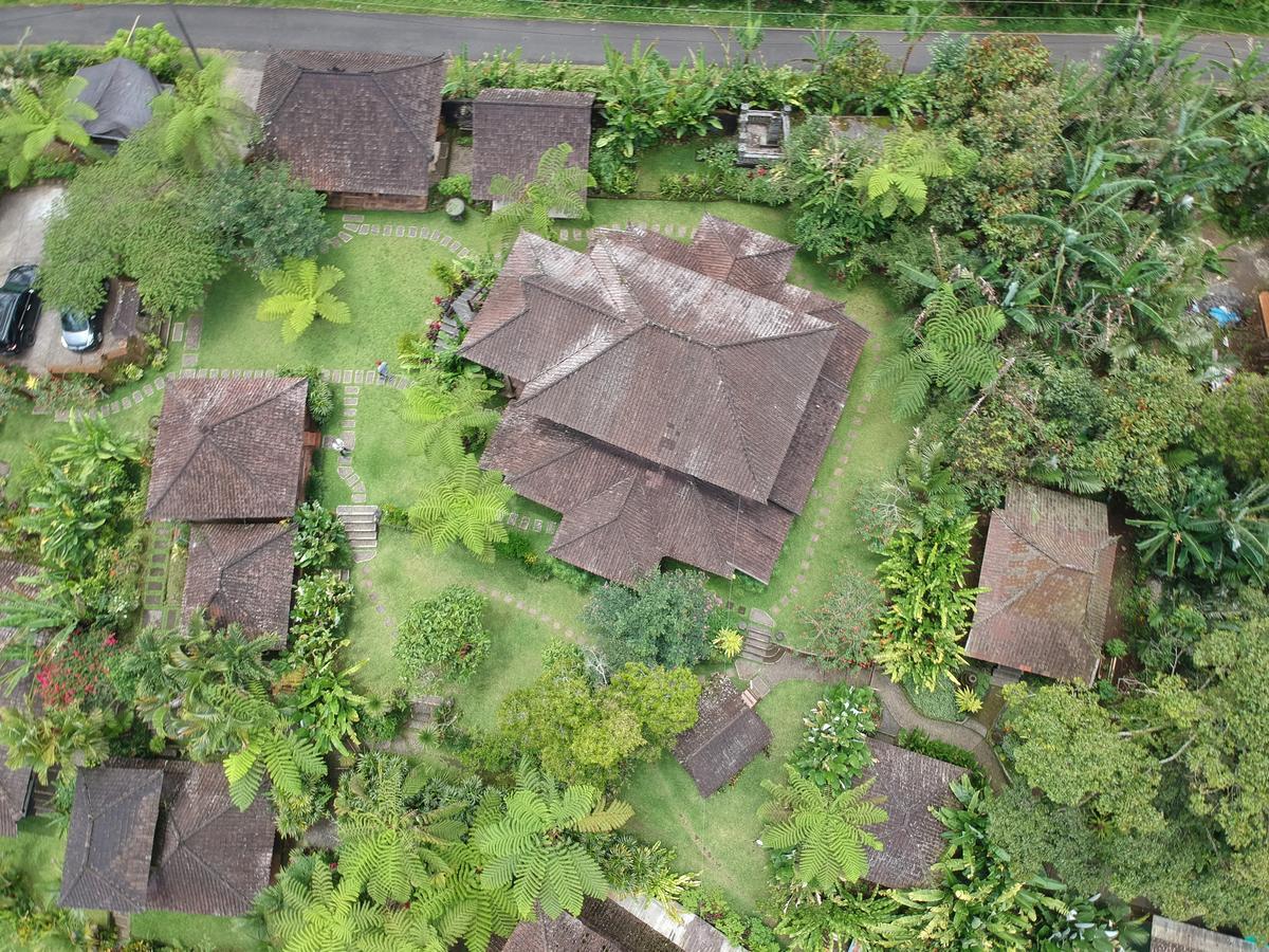 Bali Mountain Retreat Villa Selemadeg  Bagian luar foto