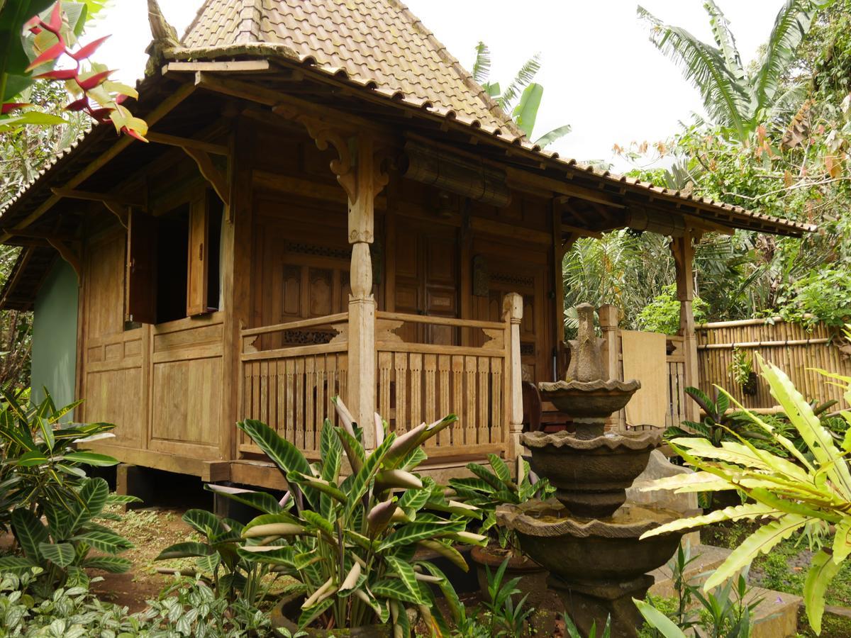 Bali Mountain Retreat Villa Selemadeg  Bagian luar foto