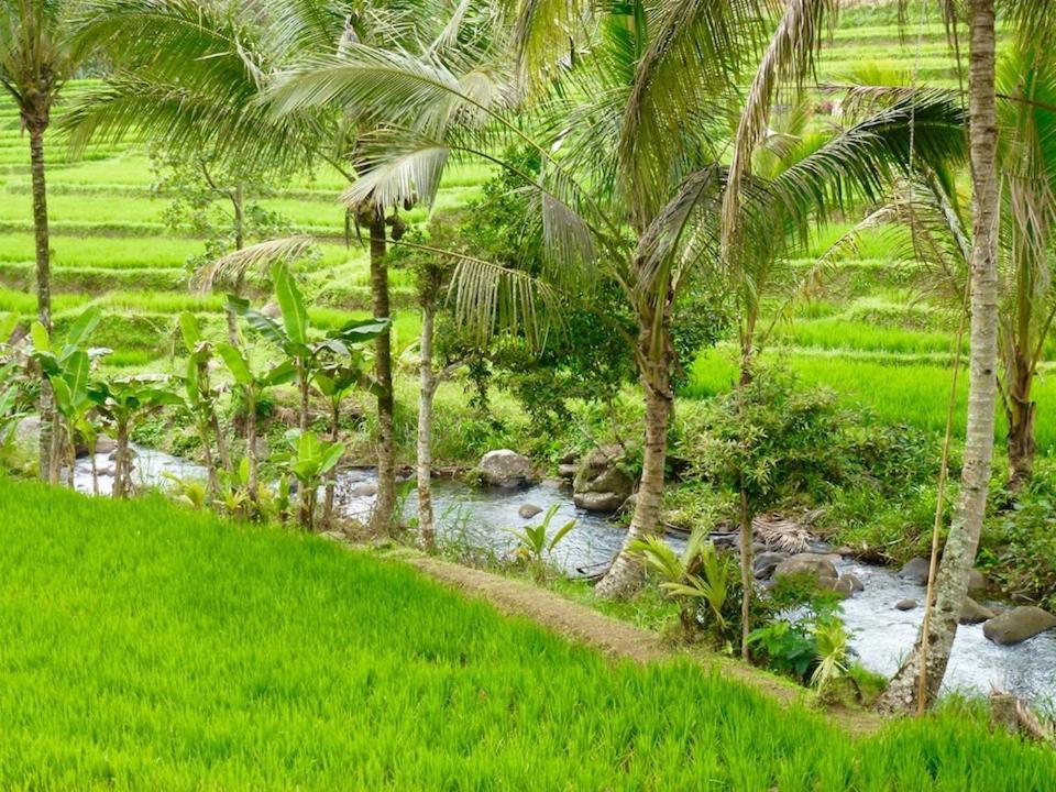 Bali Mountain Retreat Villa Selemadeg  Bagian luar foto