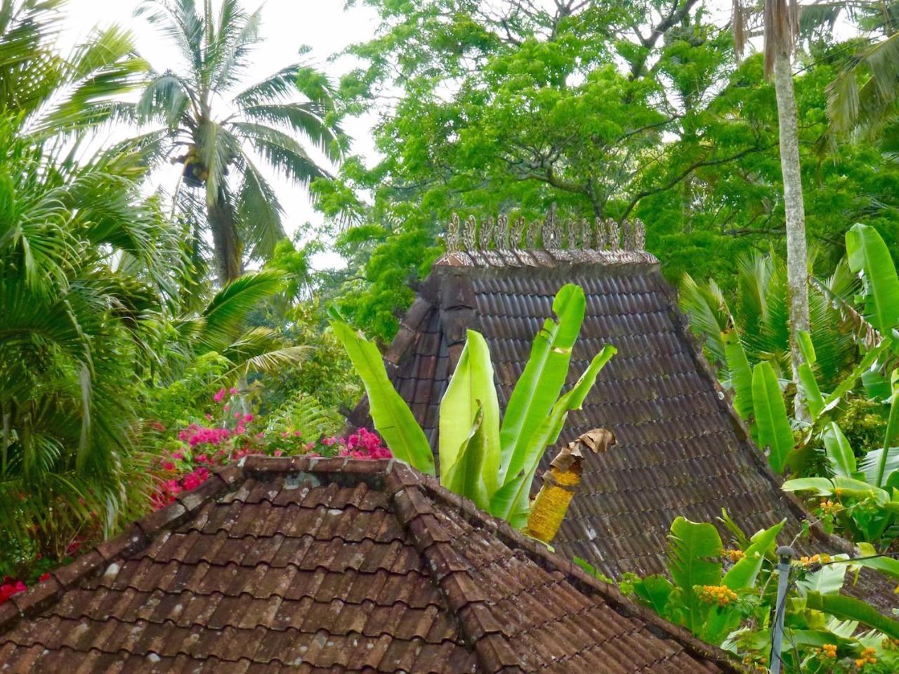 Bali Mountain Retreat Villa Selemadeg  Bagian luar foto