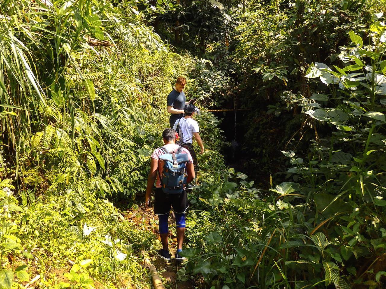 Bali Mountain Retreat Villa Selemadeg  Bagian luar foto