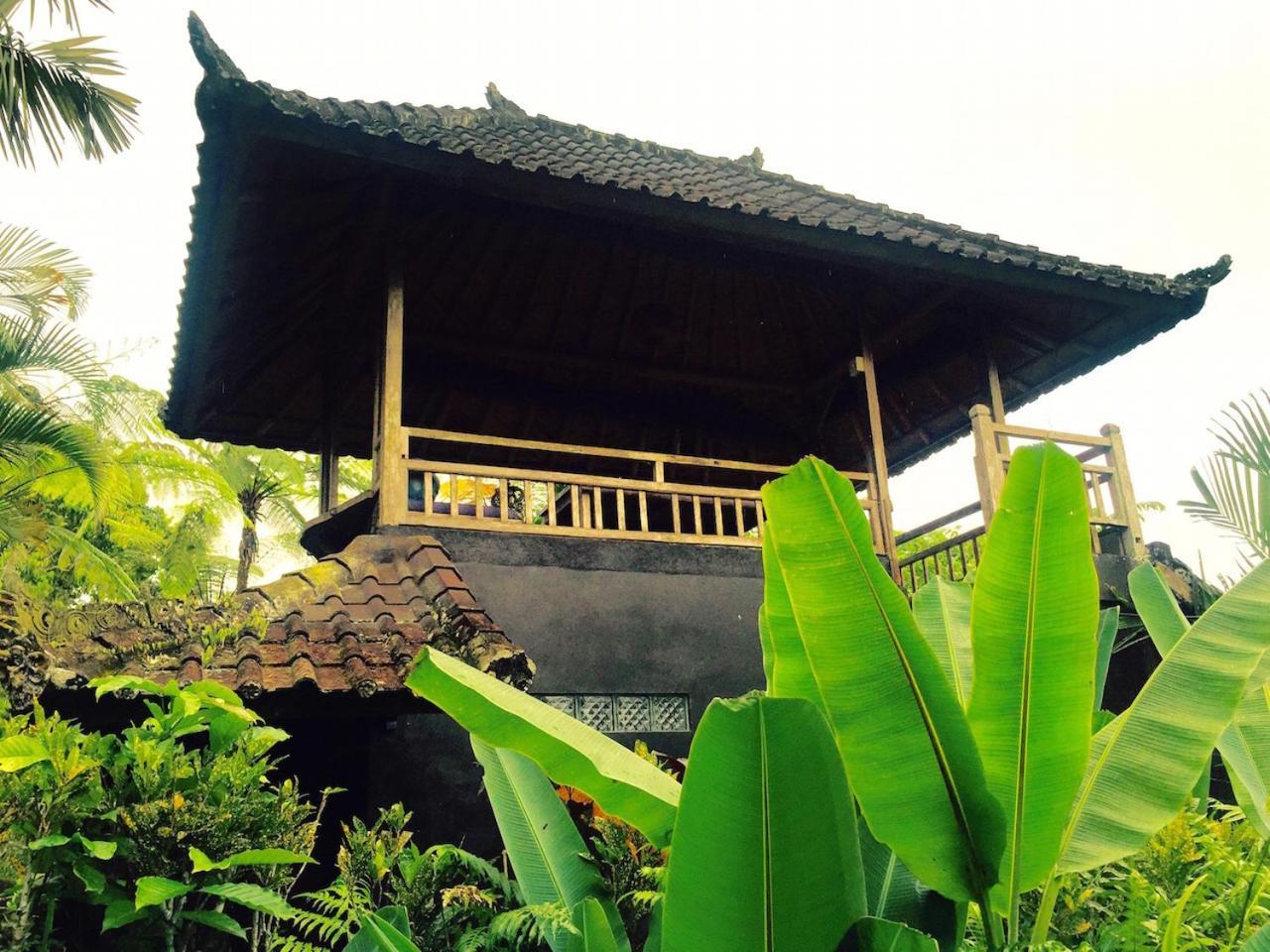 Bali Mountain Retreat Villa Selemadeg  Bagian luar foto